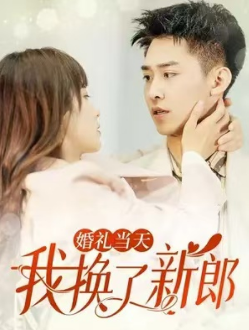 婚礼当天我换了新郎全集