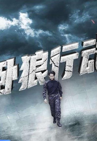 卧狼行动2024全集