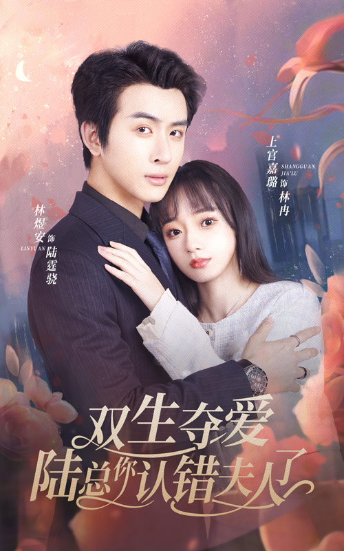 双生夺爱陆总你认错夫人全集