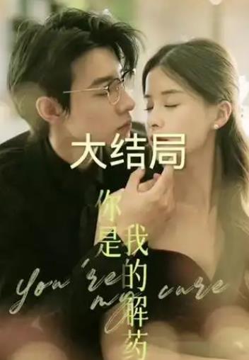你是我的解药全集