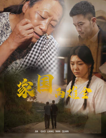 家国两难全全集