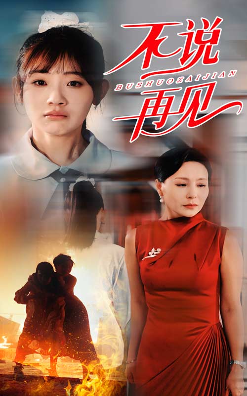 不说再见短剧全集