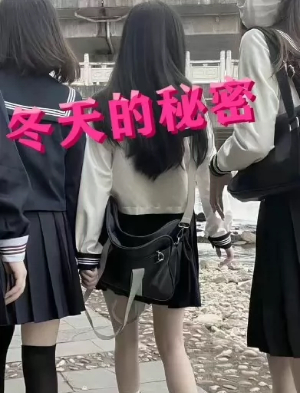 冬天的秘密全集