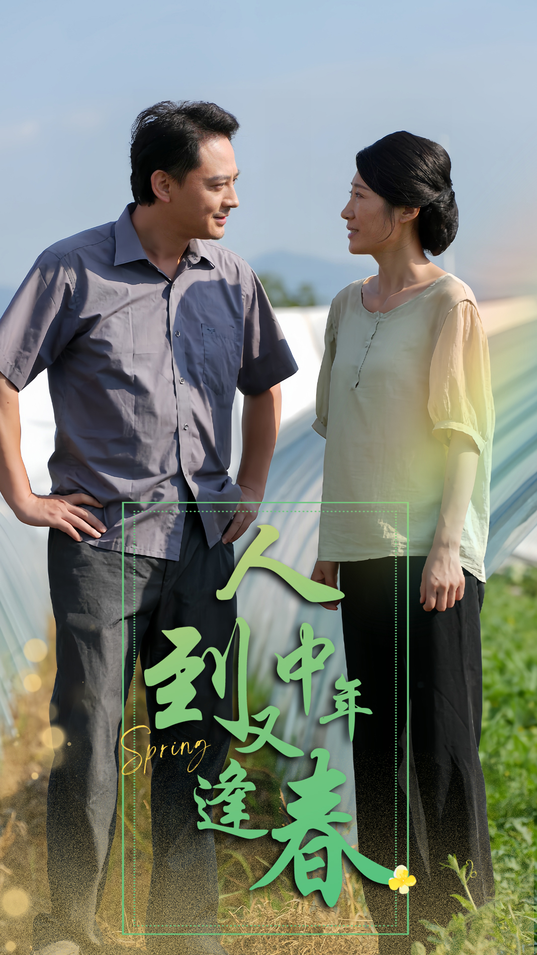 人到中年又逢春全集