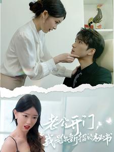 老公开门，我是你新招的秘书全集