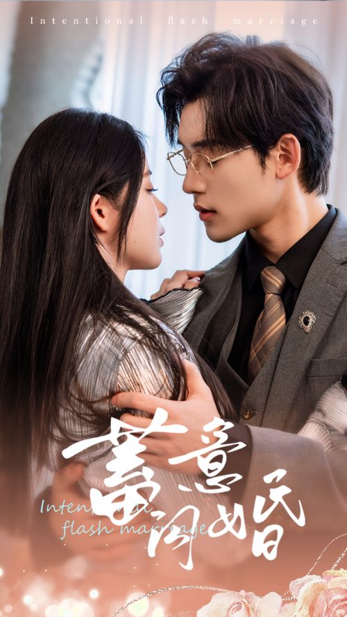 蓄意闪婚全集