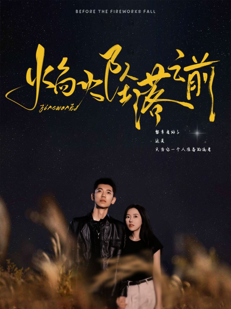 焰火坠落之前全集