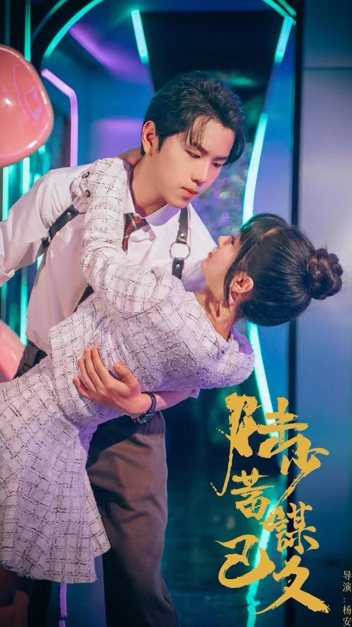 陆少蓄谋已久全集