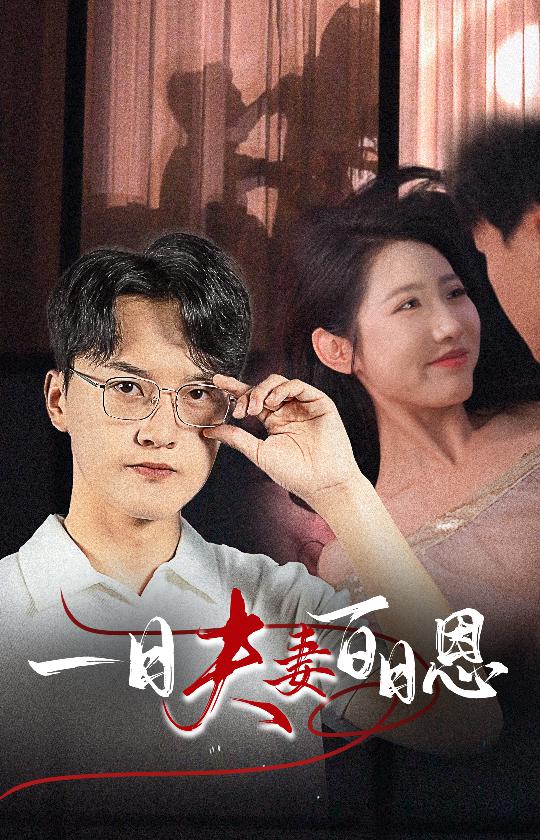 一日夫妻百日恩全集