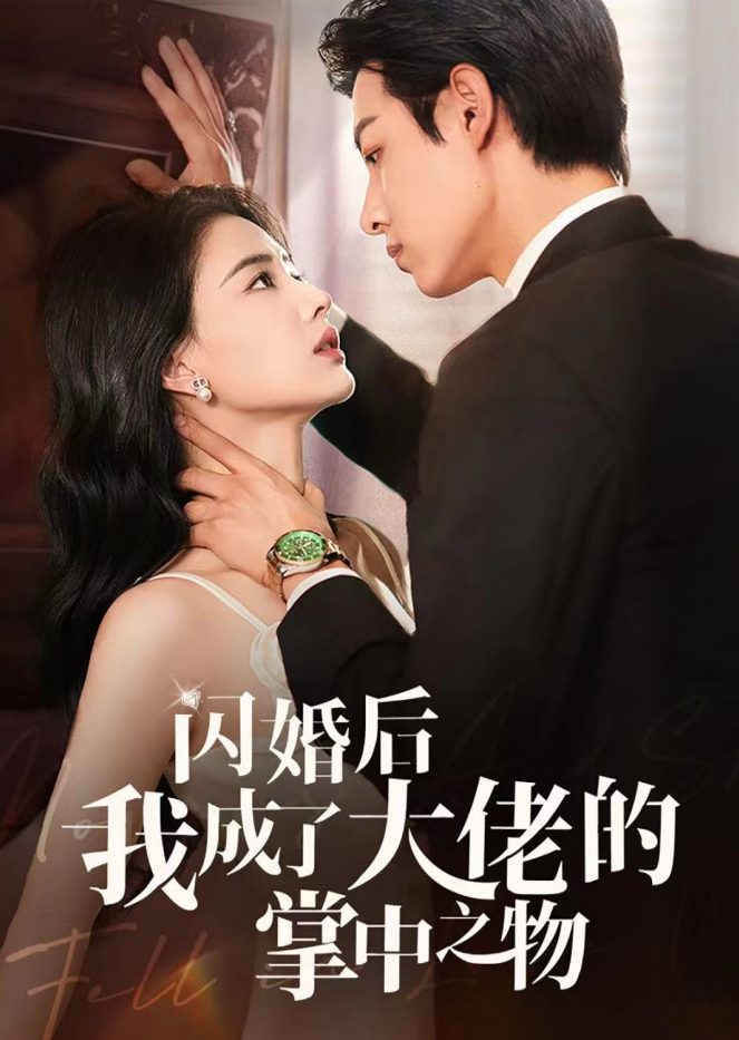 闪婚后我成了大佬的掌中之物啊全集
