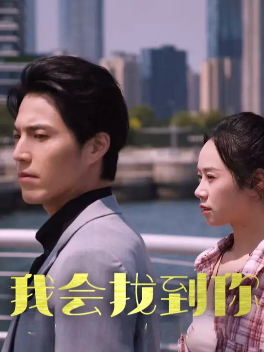 我会找到你全集