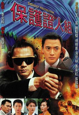 保护证人组国语全集