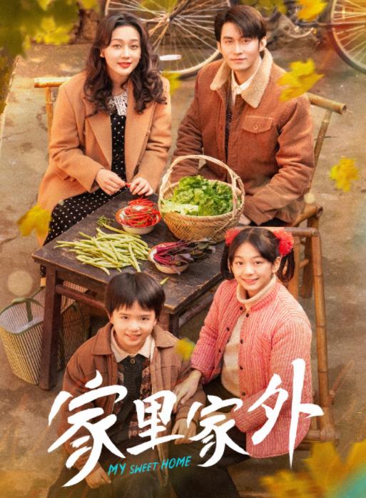 家里家外全集