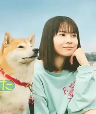 今日份的散步全集