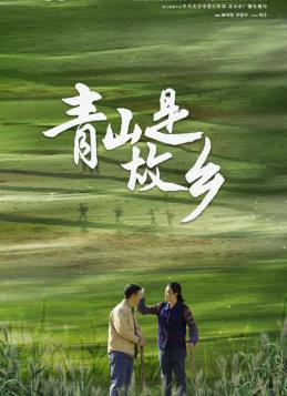 青山是故乡全集