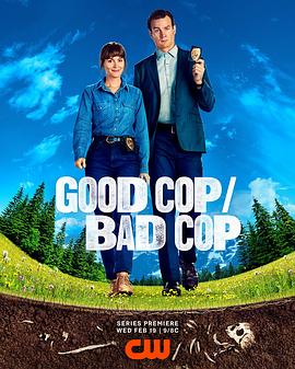 好警察/坏警察第一季全集