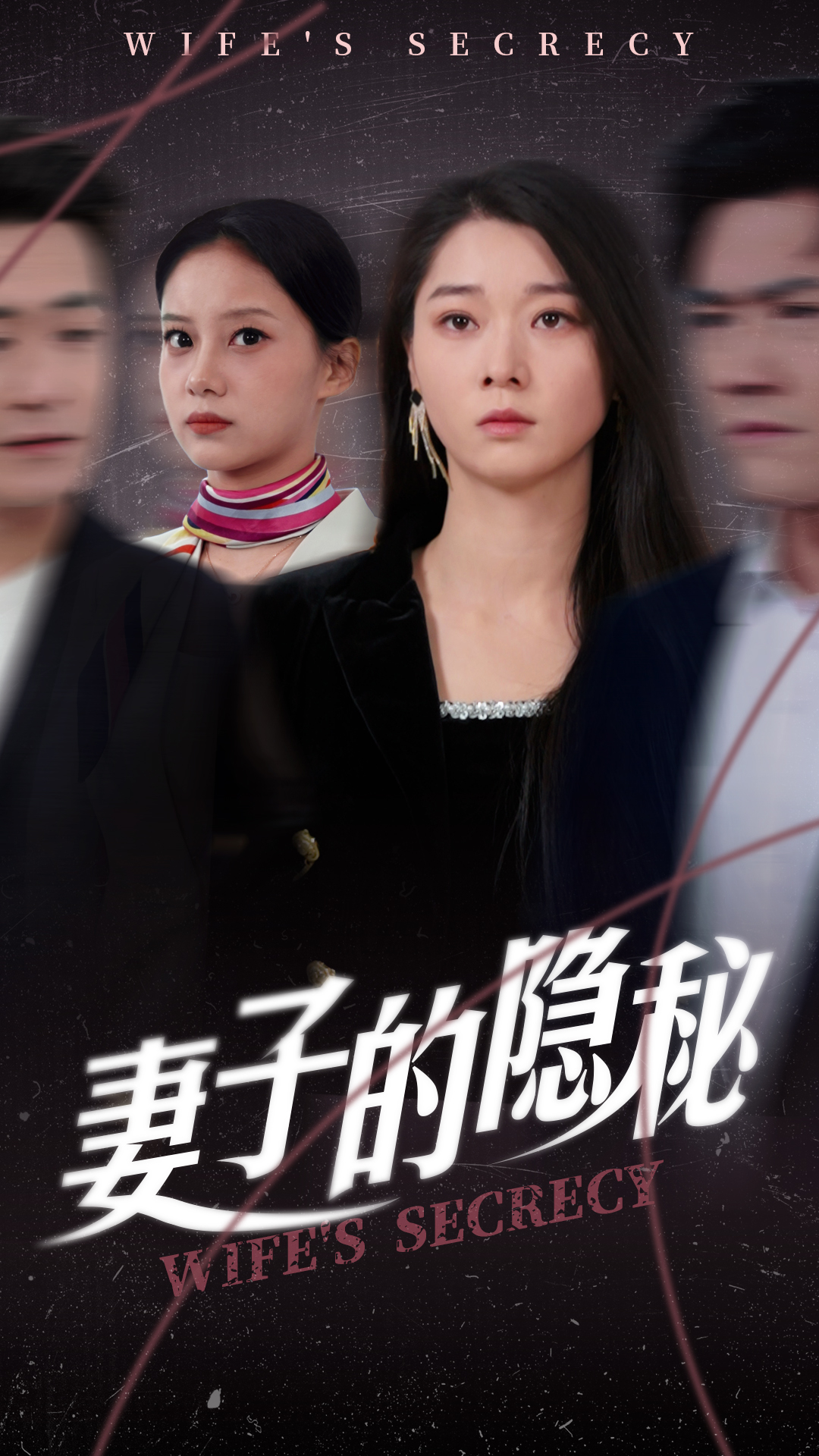 妻子的隐秘全集