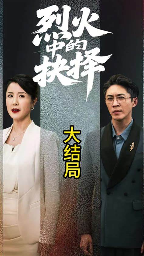 烈火中的抉择全集