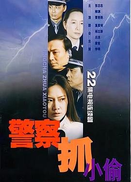 警察抓小偷全集