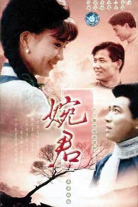 婉君全集