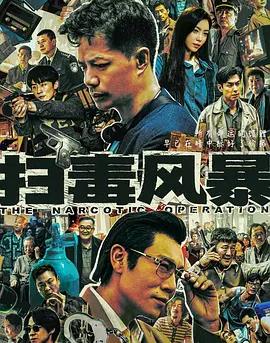 扫毒风暴全集