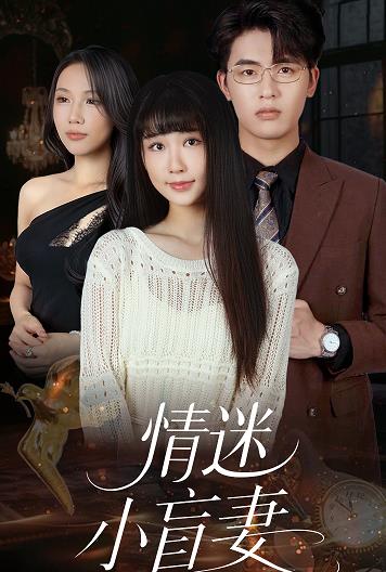 情迷小盲妻全集