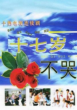 十七岁不哭全集