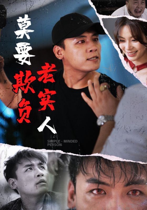 莫要欺负老实人全集