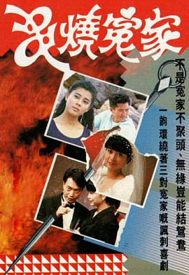串烧冤家粤语全集