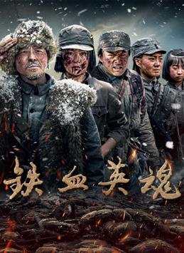 铁血英魂全集