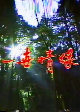 一世情缘全集