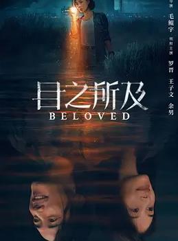 目之所及全集