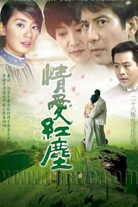 情爱红尘全集