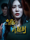 当你许愿时全集