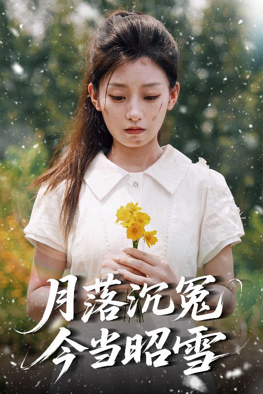 月落沉冤今当昭雪全集