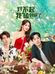 对不起，我磕到你了全集