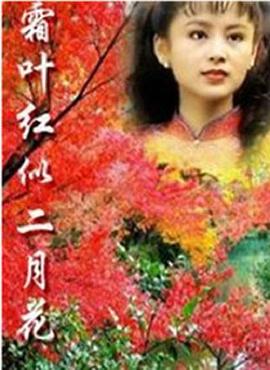 霜叶红似二月花全集