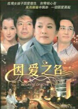 因爱之名全集