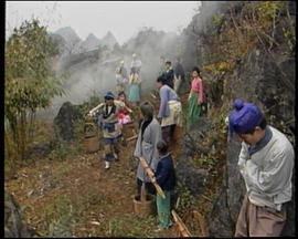 鱼公主红鲤公主全集