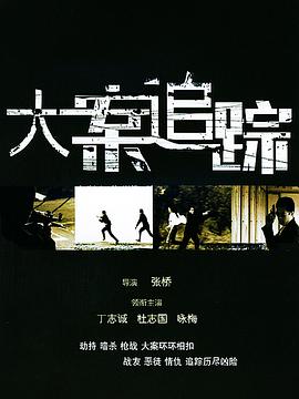 大案追踪全集