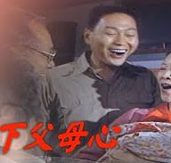 天下父母心全集