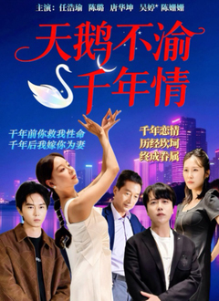 天鹅不渝千年情全集