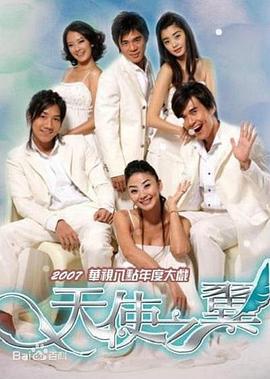 天使之翼2007全集