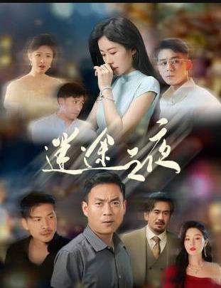 迷途之夜全集