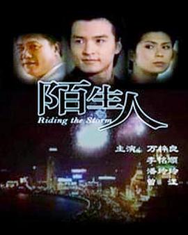 陌生人全集