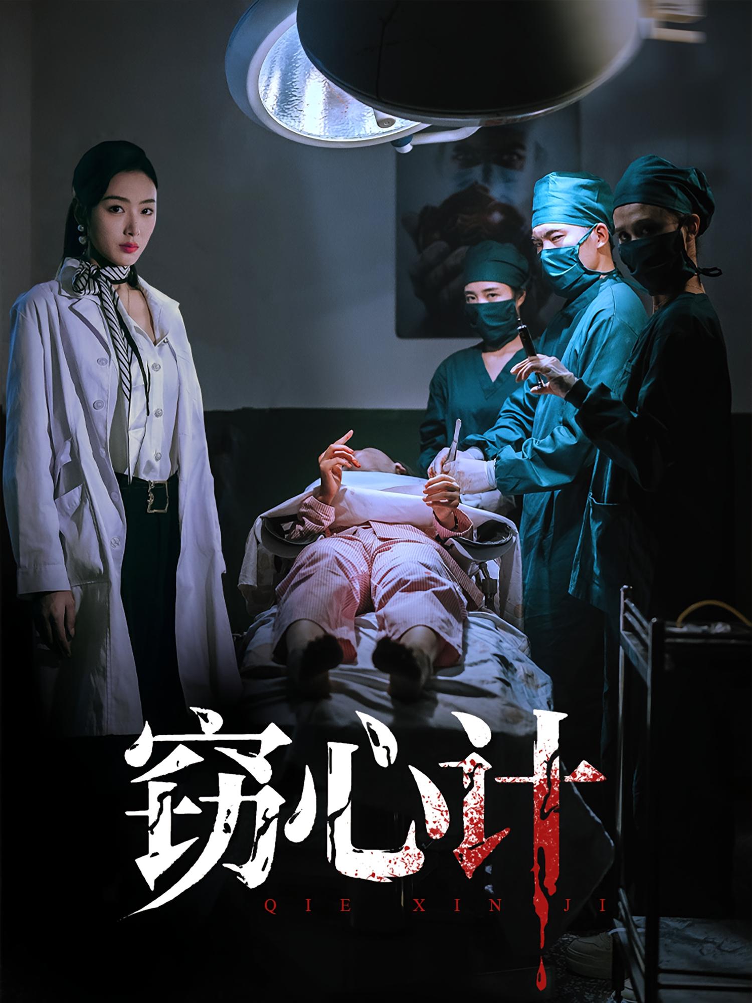 窃心计全集