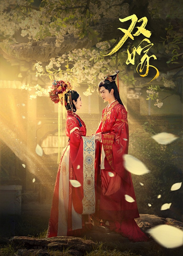 双嫁全集