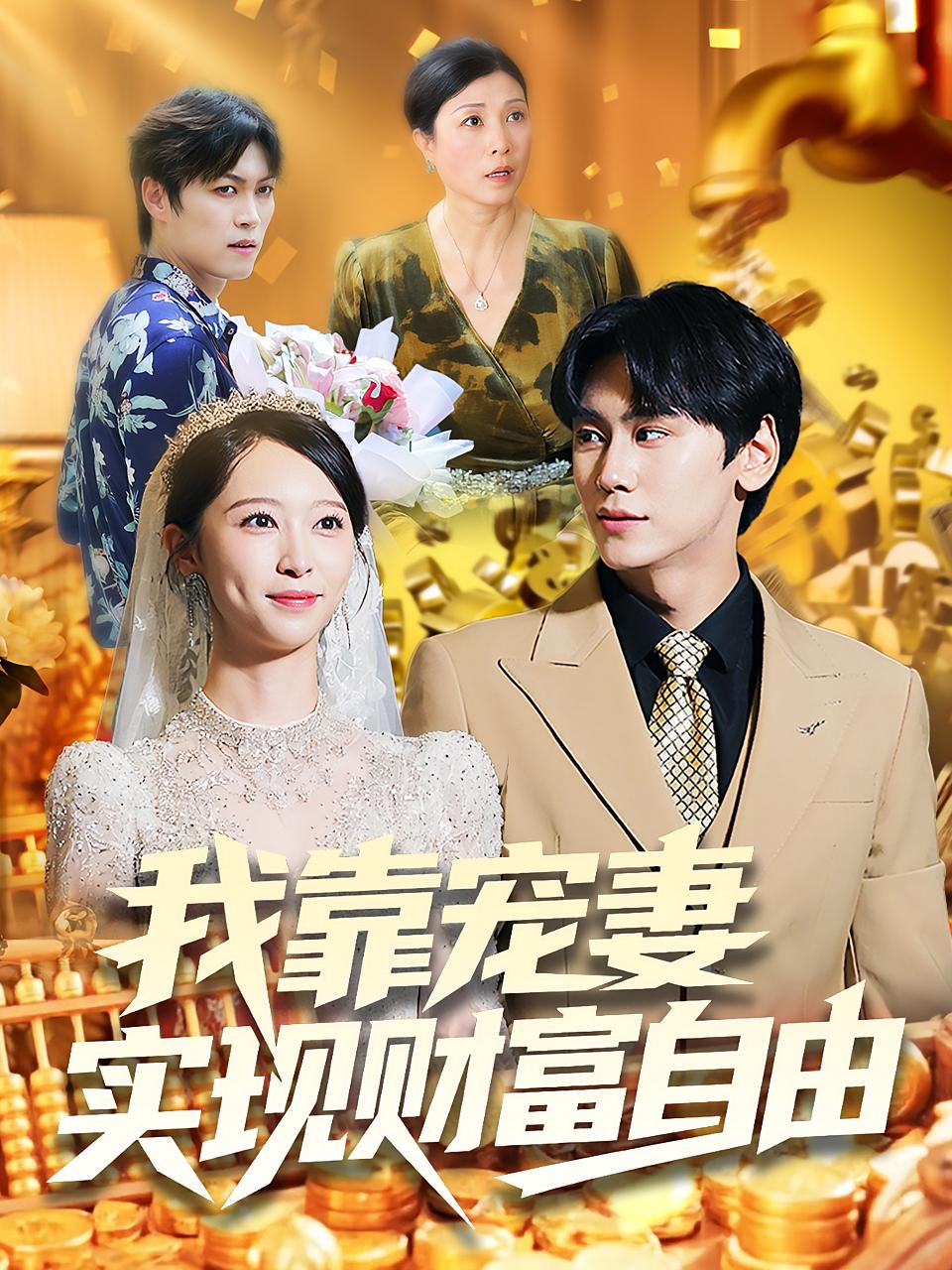 我靠宠妻实现财富自由全集