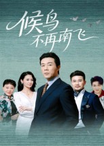 候鸟不再南飞全集