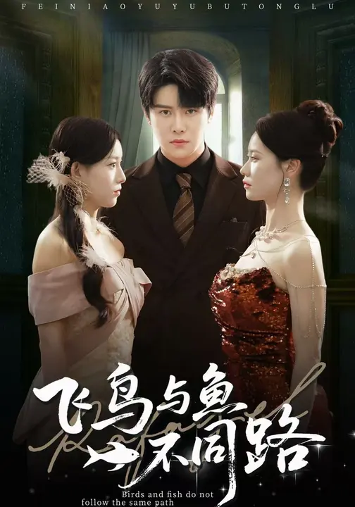 飞鸟与鱼不同路全集